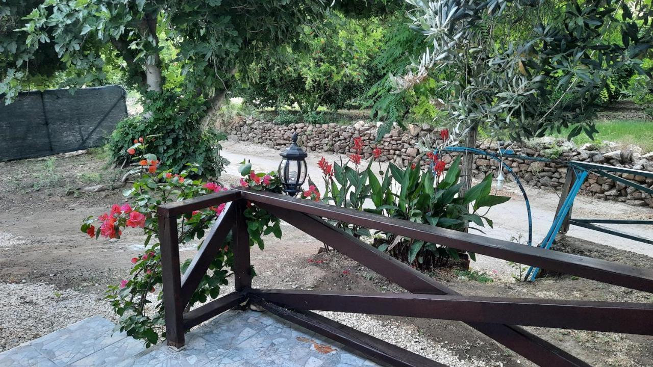 Teo Hotel&pansion Çıralı